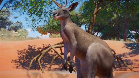 Then pop up with the download key, and. Planet Zoo Heads Down Under With New Australia DLC Pack ...