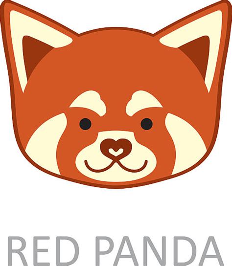 Best Red Panda Illustrations Royalty Free Vector Graphics And Clip Art