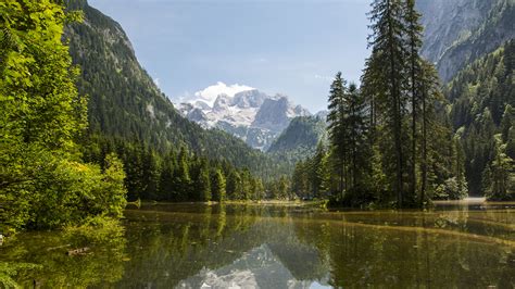 Photo Austria Gosau Nature Spruce Mountains Lake Forests 1920x1080