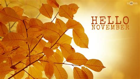 Beautiful November Desktop Wallpapers Top Free Beautiful November