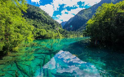 Download Wallpapers Jiuzhaigou National Park 4k Summer Forest Blue