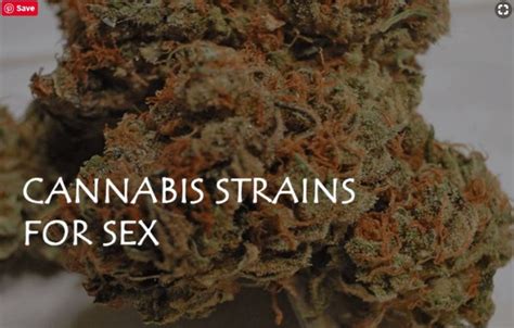 Cannabis Strains For Sex Life Enhancement Cannabis For Sex
