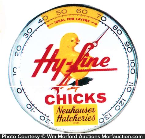 Maybe you would like to learn more about one of these? Antique Advertising | Hy-Line Chick Hatcheries Thermometer ...