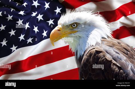 Bald Eagle American Flag Wallpaper