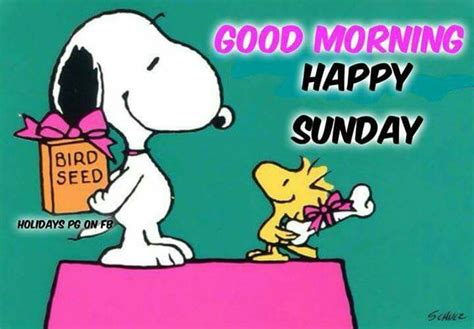 Pin By Suzanne Dunlap On Snoopy And Peanuts Good Morning Happy