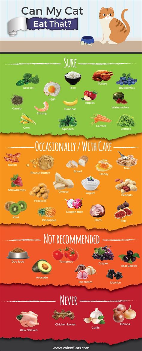Raw meat and raw fish, like raw eggs, can contain bacteria that cause food poisoning. Can My Cat Eat That? : coolguides