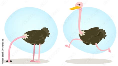 Ostrich Running And Hiding Head Stock Vector Adobe Stock
