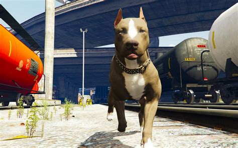 Grand Theft Auto 5 Dogs