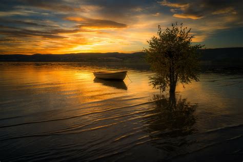 Download Sunset Boat Lonely Tree Photography Lake Hd Wallpaper