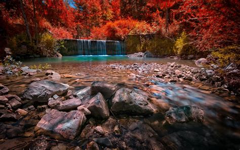 Landscape Nature Waterfall Pond Forest Colorful Red