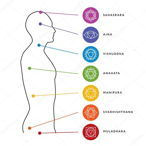 Basic Human Chakra System Chakras Stock Vector Royalty Free My Xxx