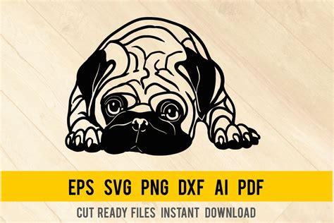 Pug Dog Svg Breed Dogs Svg Pet Pup 1131858 Cut Files Design Bundles