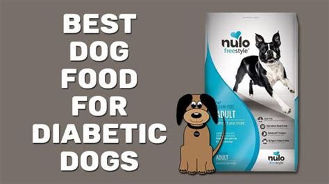 10 Best Dog Food For Diabetic Dogs 2023 Petmoo