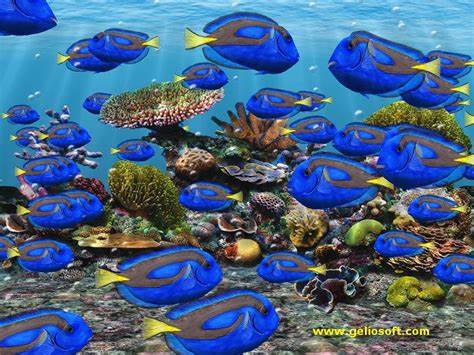 Fish Aquarium Screensaver Free Download