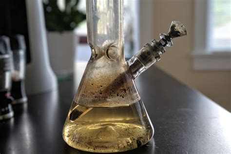 A Small Guide To The Types Of Bongs And Their Maintenance • Vape Hk