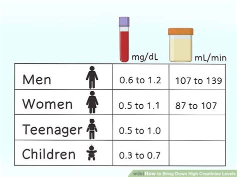 Creatinine Level Kidney Function Levels Chart Di 2020