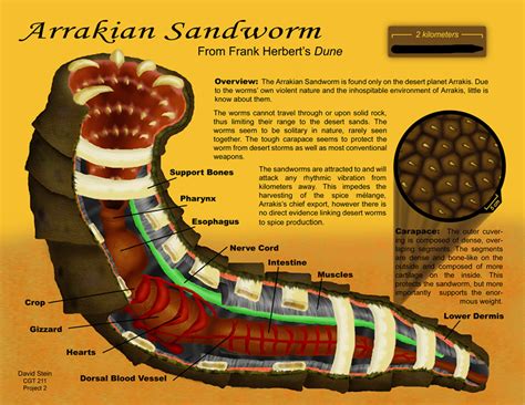 Arrakian Sandworm By David Stein Rdune
