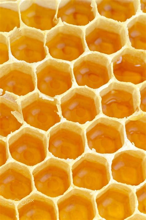 Sweet Honeycombs With Honey Macro Yellow Aesthetic Orange Aesthetic