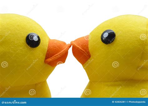 Cute Yellow Duck Kissing Stock Image Image Of Animal 42826281
