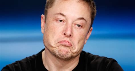 Elon musk, quoted by greg kumparak in techcrunch. Elon Musk: SpaceX and Tesla were two of the 'dumbest ...