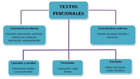 Realiza Un Cuadro Sinóptico De Las Características Externas E Internas