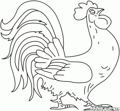 Domestic Animals For Coloring Coloring Pages