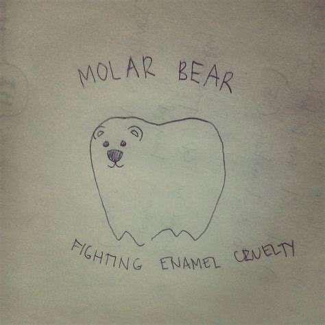 Molar Bear Dental Fun Dental Jokes Dentist Humor