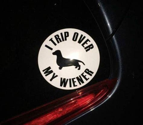 The Funniest Bumper Stickers Youll See All Day 20 Pics