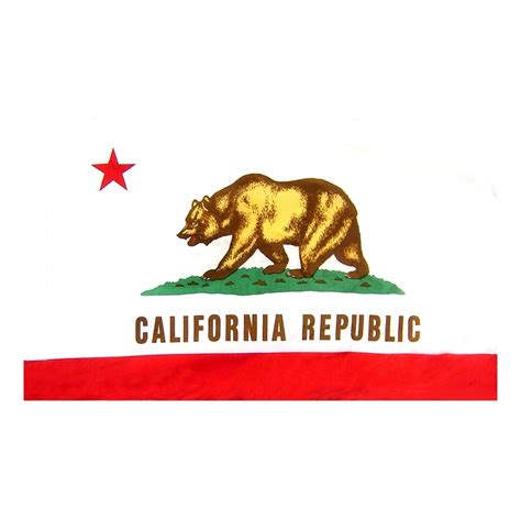 Download free flag of california vector files. California Flag with Pole Hem | FlagandBanner.com