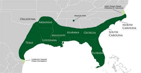 American Alligator Habitat Map