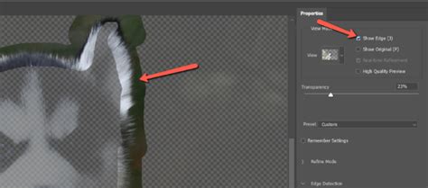 How To Use Refine Edge In Photoshop 5 Easy Steps