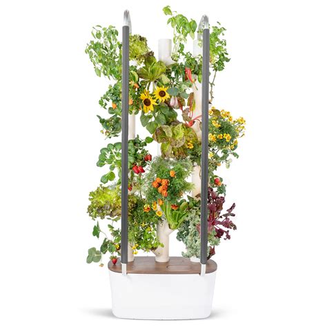 Buy Gardyn 3.0 Hydroponics Growing System & Vertical Garden er - The