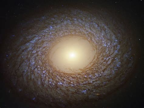 Nasas Hubble Space Telescope Captures Stunning Image Of Ngc 2775 The