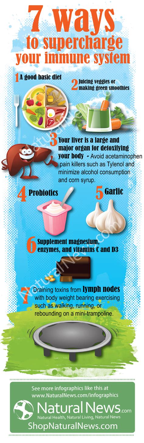 Your immune system is what defends your body against germs and infections to keep you from becoming ill. 7 Steps to Improve Your Immune System - Infographics ...