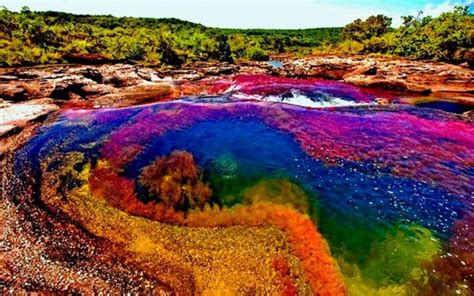 Caño Cristales Colombias Rainbow River Unusual Places