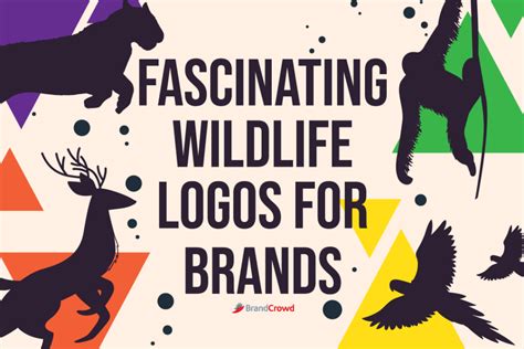 103 Wildlife Logos Brandcrowd Blog
