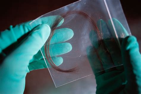 Your Distinctive Hairprint Can Identify You Even When Dna Fails New