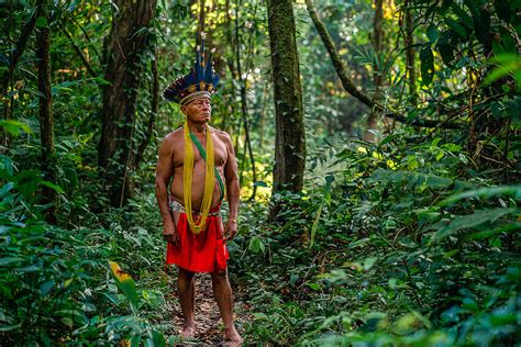 Indigenous Local And Traditional People Wwf