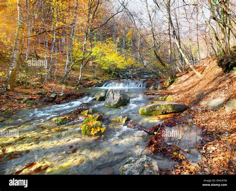 Bosque Que Fluye Fotos E Imágenes De Stock Alamy