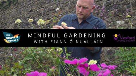 Mindful Gardening With Fiann Ó Nualláin Growitforward Youtube