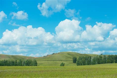 Beautiful Summer Landscape Stock Photo Image Of Horizon 79755638