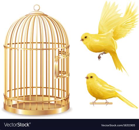 Golden Canary Cage Set Royalty Free Vector Image