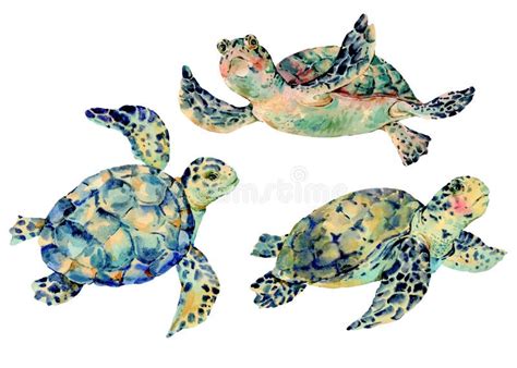 A4 Framed Original Painting Of The Green Sea Turtlesea Turtle