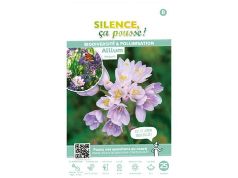 Allium Roseum Silence A Pousse