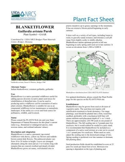 Gaillardia Aristata Plant Fact Sheet Usda Plants Database
