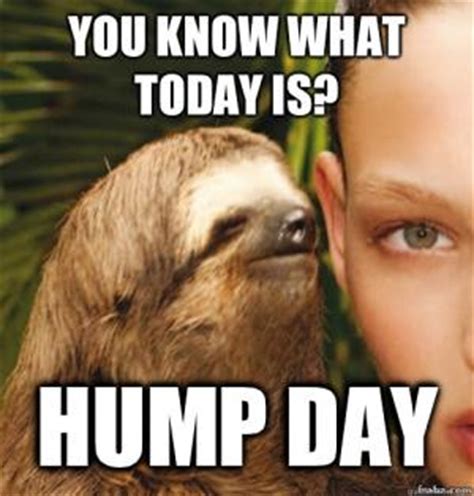 Trendy Hump Day Memes That Make You Laugh QuotesBae
