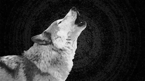 Wolf And Moon Wallpaper 67 Images