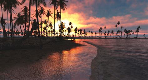 Nature Landscape Tropical Beach Sunset Palm Trees Sea Clouds Sky Sand