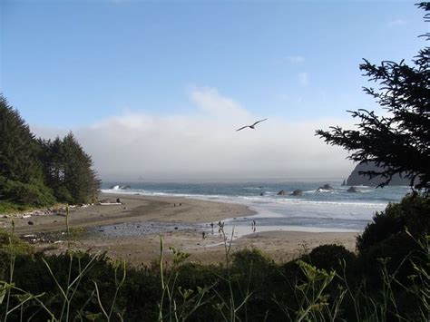 Whaleshead Beach 7 Miles North Of Brookings Visit Oregon Oregon Coast Beach