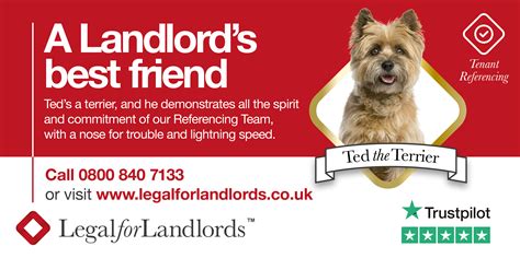 Lfl insurance agency's top competitors are wmsinsurance, arendas insurance and milligan wmsinsurance is lfl insurance agency's #1 competitor. LfL Dog Campaign - Ted final - Legal For Landlords